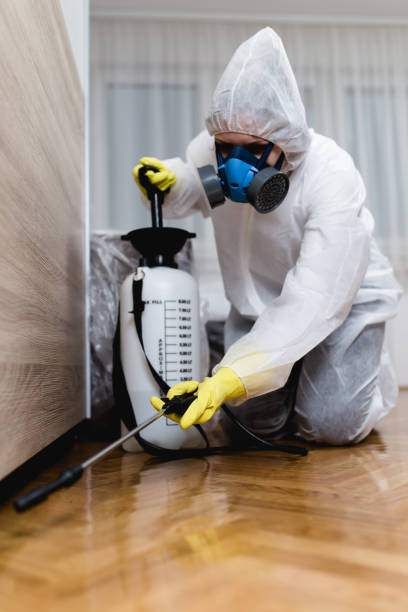 Emergency Pest Control Services in Rockledge, FL